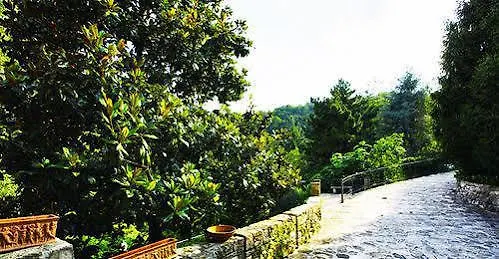 Luna Bergamo